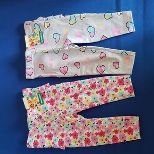 Baby girl two pairs leggings NWT